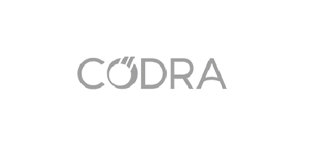CODRA Logo Adder Technology